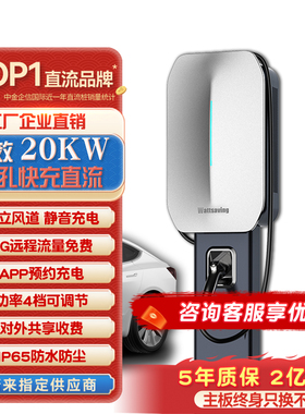wattsaving能效9孔直流快充电桩U20kw适用于蔚来极氪小米小鹏岚图