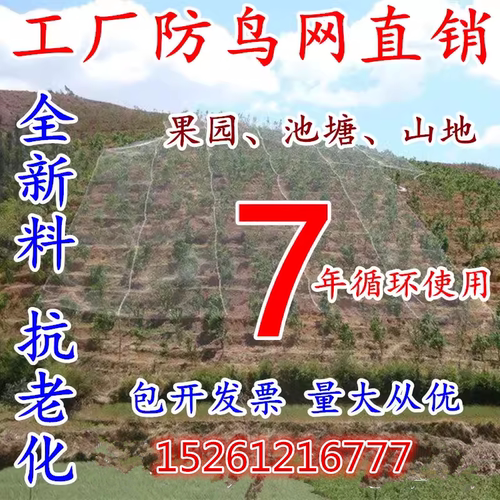 防鸟网尼龙大棚果树樱桃葡萄梨树果园防鸟用网泥鳅养殖网鱼塘天网
