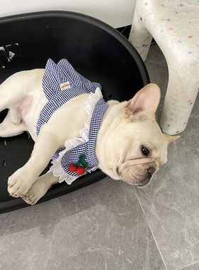 法斗夏季裙子宠物狗狗八巴哥吊带背心格子幼犬泰迪柯基小胖狗衣服