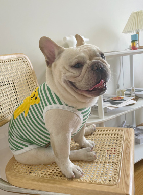 韩版小狗衣服法斗背心夏装可爱小熊清新条纹宠物巴哥衣服比熊猫咪