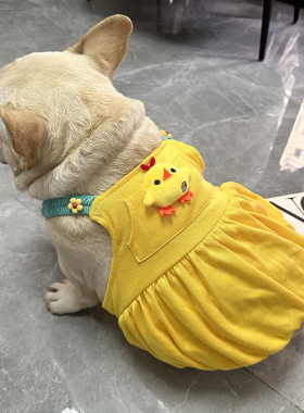 宠物衣服狗狗泡泡裙南瓜连衣裙春夏小型犬法斗衣服可爱马尔济斯