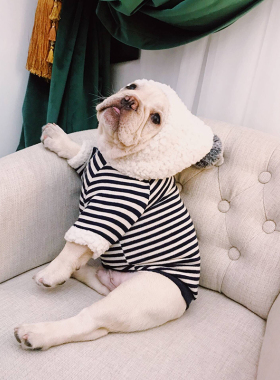 补运费链接 差几拍几！