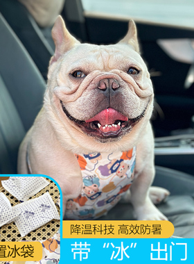 网红夏季新款法斗凉凉衣降温神器宠物冰袋巴哥防中暑狗狗降温背心