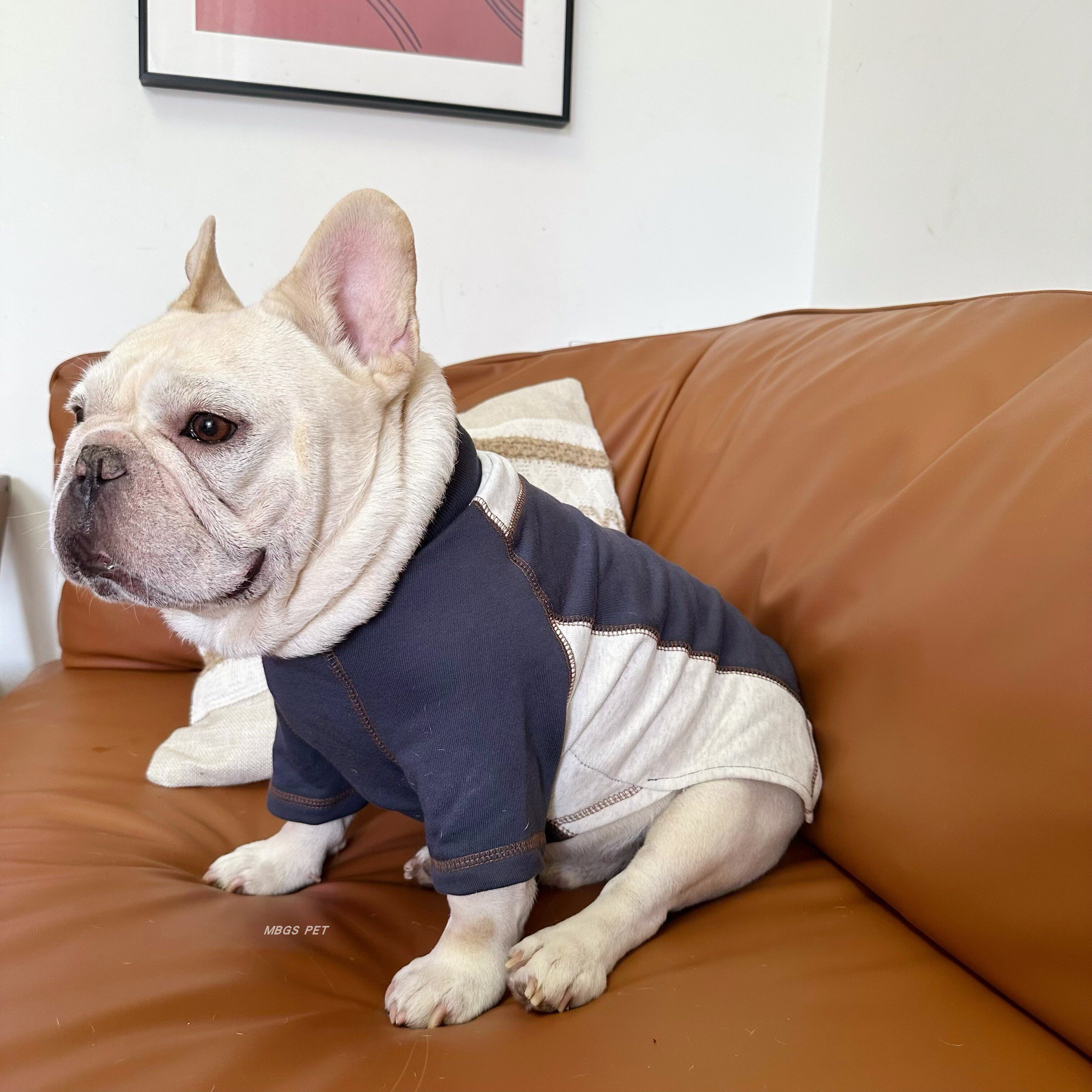 狗狗衣服秋冬卫衣拼接潮牌法斗巴哥小型犬小狗T恤泰迪比熊雪纳瑞