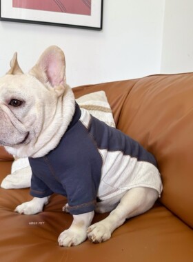 狗狗衣服秋冬卫衣拼接潮牌法斗巴哥小型犬小狗T恤泰迪比熊雪纳瑞
