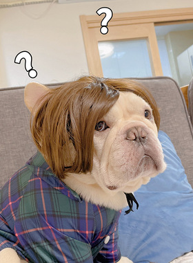 宠物狗狗假发法斗假发头饰巴哥假发斗牛犬柴犬柯基猫咪头饰