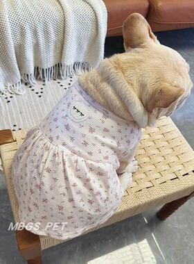 胖狗裙子法斗衣服巴哥英斗柯基秋冬碎花裙子居家公主裙春秋款宠物
