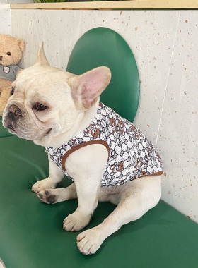 狗狗衣服背心夏季薄款法斗八哥恶霸英斗中小型犬背心网眼款防掉毛