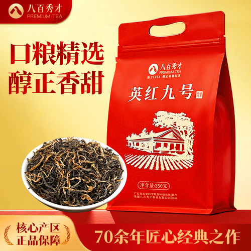 八百秀才英红九号英德红茶口粮茶