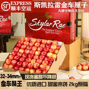 斯凯拉雷金车厘子4j天空之城skylar rae黄车厘子孕妇新鲜水果脆甜