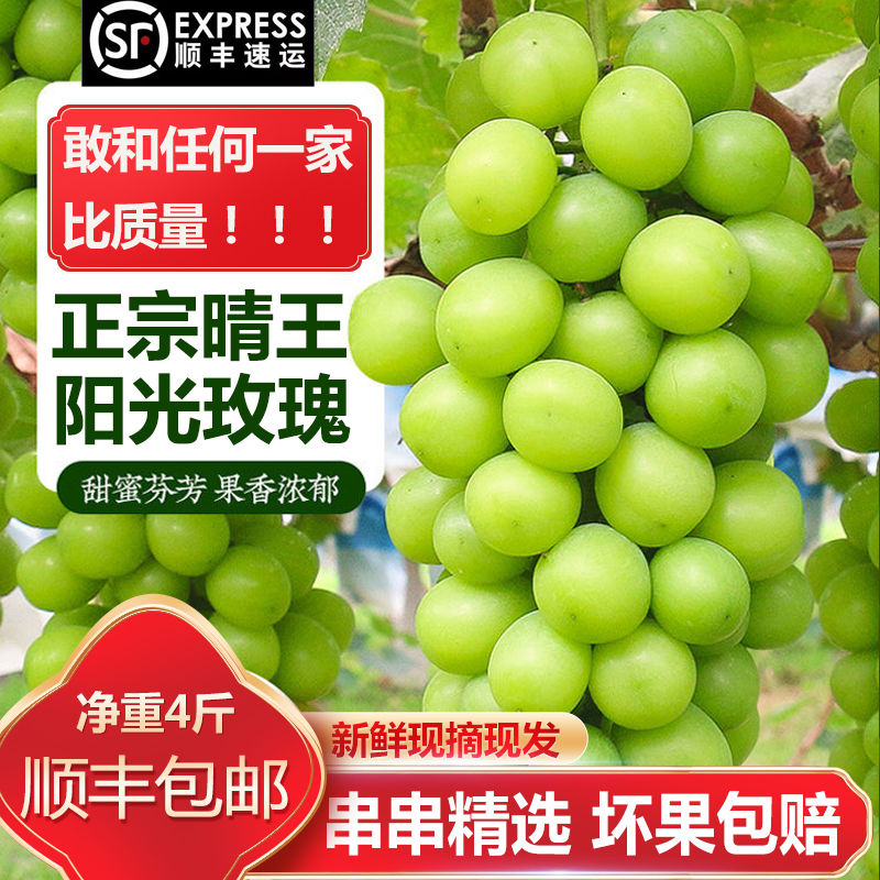 进口阳光玫瑰香味十足香印青提