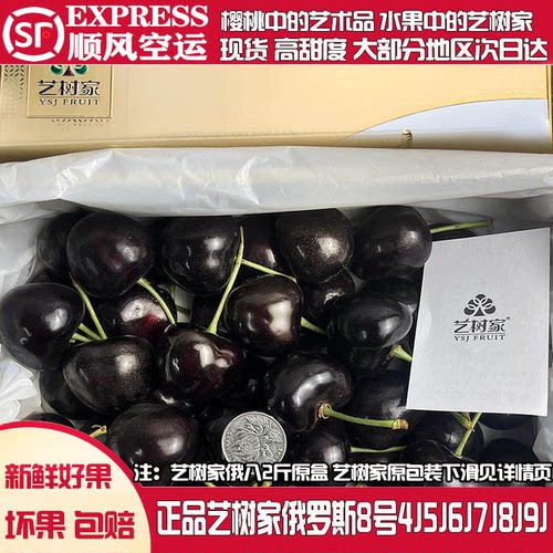 艺树家俄8樱桃9j大连艺术家黑珍珠科迪亚车厘子8j67j新鲜水果礼盒