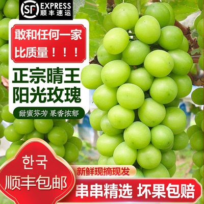 进口阳光玫瑰无籽葡萄当季鲜摘