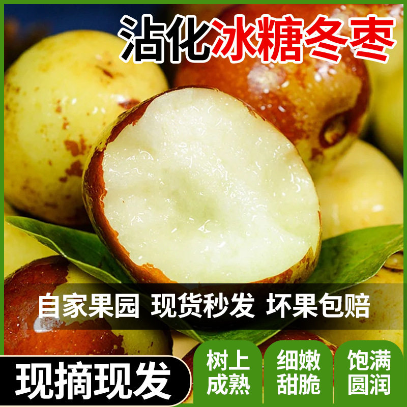 现货冰糖冬枣当季新鲜高甜水果脆甜青枣鲜枣大枣鲜甜多汁现摘现发