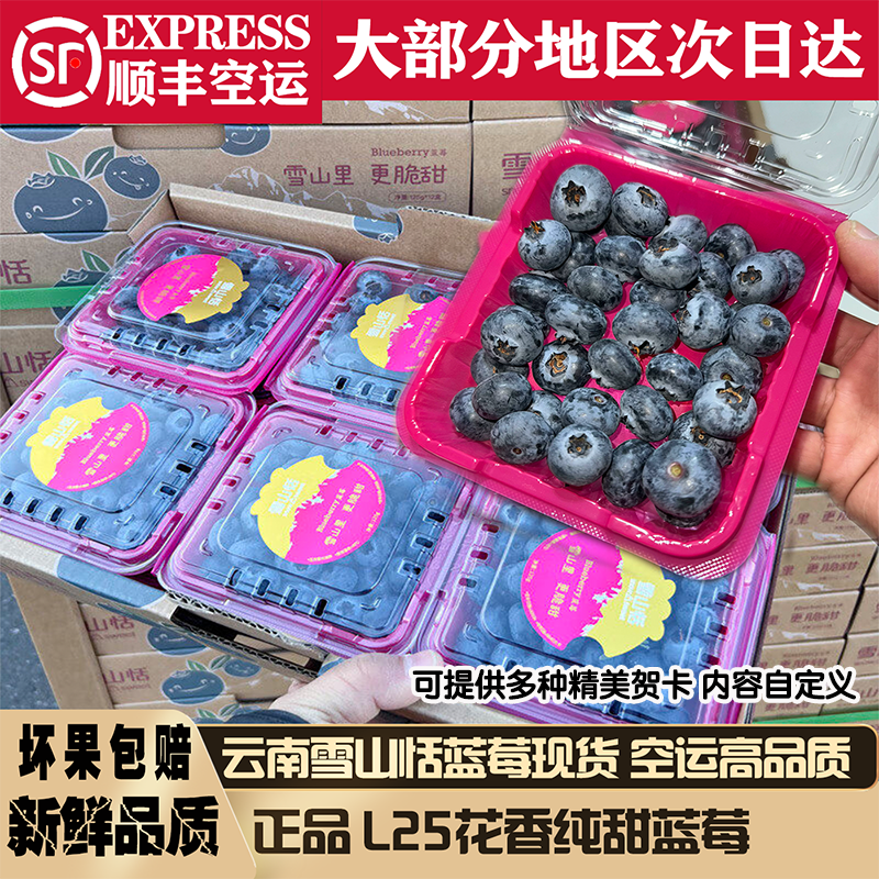 云南雪山恬L25花香蓝莓l新鲜空运
