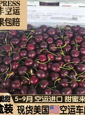空运美国进口斯基纳Skeena车厘子3j4j5j礼盒装脆甜新鲜大樱桃顺丰
