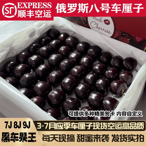 俄8大连樱桃9j8j新鲜俄罗斯八号黑珍珠科迪亚车厘子7j5j水果礼盒
