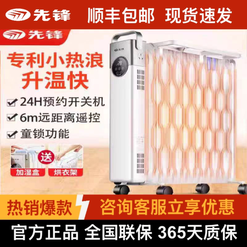 先锋取暖器热浪电暖器13片