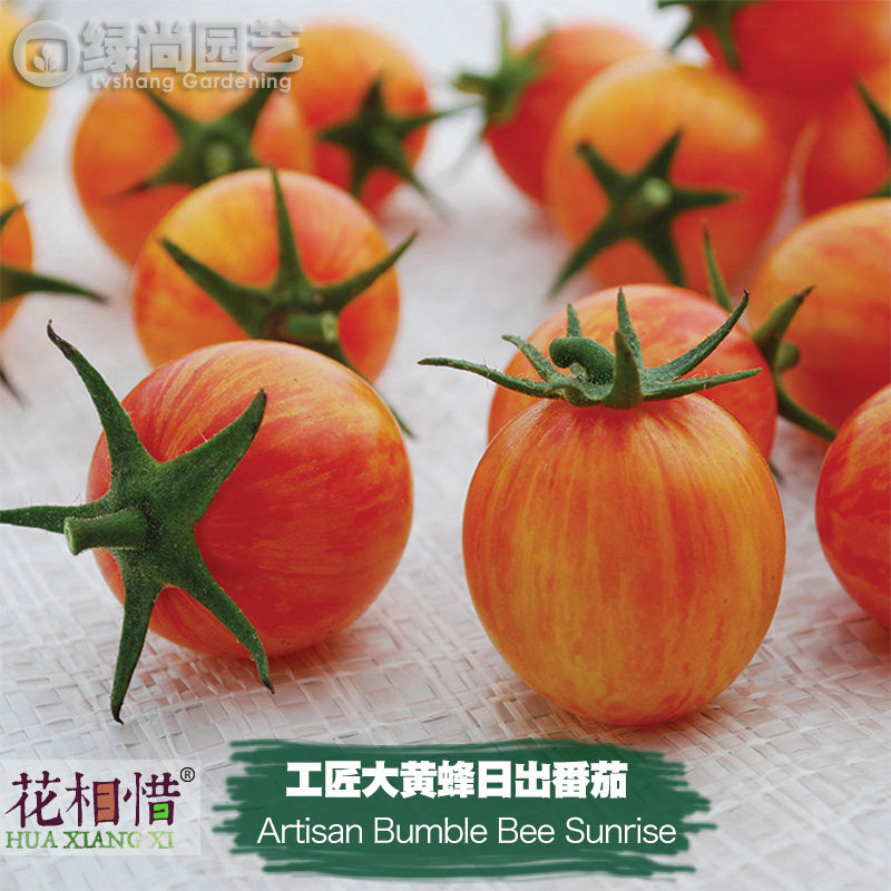 工匠大黄蜂日出番茄种子进口西红柿盆栽蔬菜种籽瓜果小樱桃番茄苗,鲜花速递/花卉仿真/绿植园艺,家庭园艺种子,淘宝优惠券,粉丝福利购,淘宝优惠卷