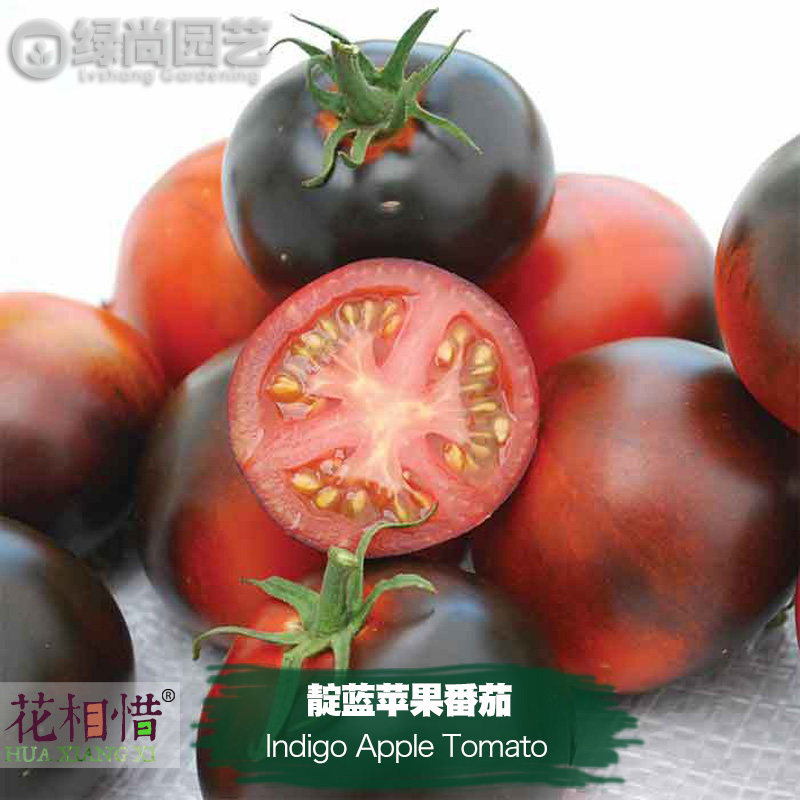 靛蓝苹果番茄种子进口西红柿四季播种阳台盆栽蔬菜种籽瓜果番茄苗,鲜花速递/花卉仿真/绿植园艺,家庭园艺种子,淘宝优惠券,粉丝福利购,淘宝优惠卷
