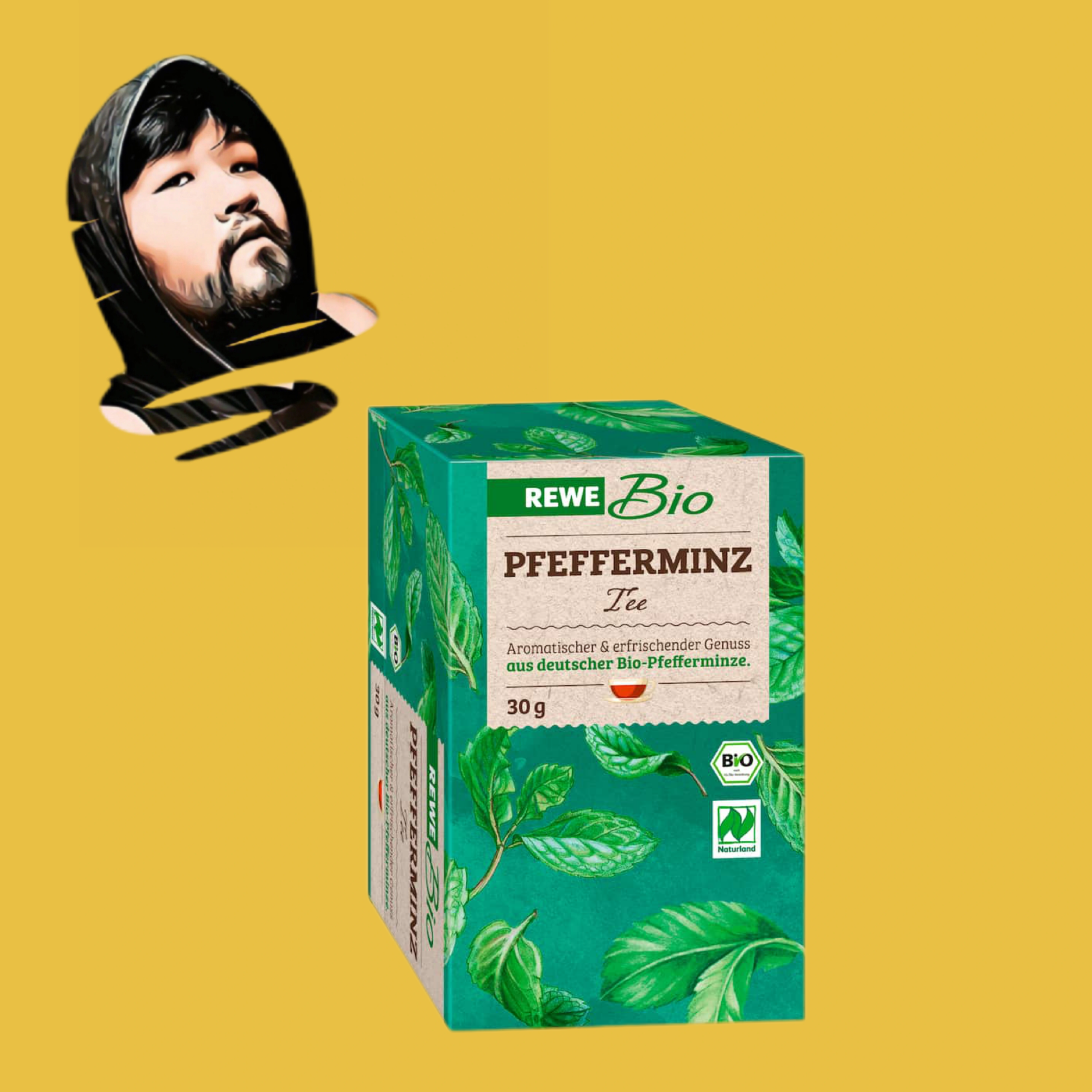 德国直邮【全场满300包邮】Rewe有机胡椒薄荷茶30g