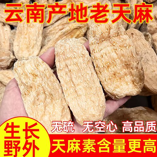 【假一赔十】云南昭通野山天麻