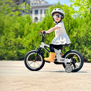 萌大圣F800儿童自行车3-6岁公主款女孩男孩辅助轮单车14/16寸礼物