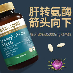 澳洲健肝水飞蓟素奶蓟草片和丽康护肝片肝脏保健品降低转氨酶偏高
