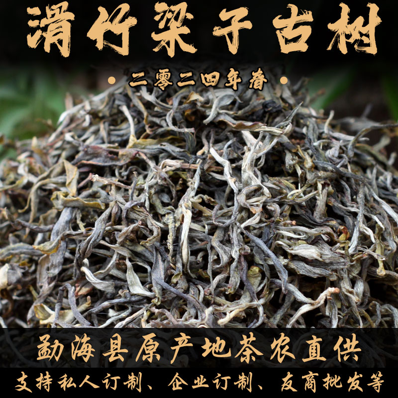 云南普洱茶2024年滑竹梁子古树茶普洱茶散茶云南古树普洱茶高纯料