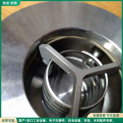 可维修Gestra止回阀RK49 DN65