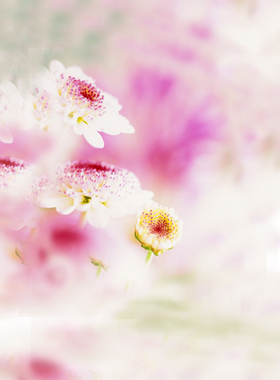 bjd可儿娃用拍照摄影背景布粘土手办娃娃布景娃屋装饰场景布y1150