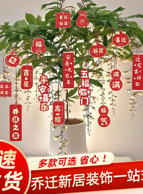 乔迁之喜新居布置装饰盆栽吊卡创意挂件搬家新居入宅仪式福字挂饰
