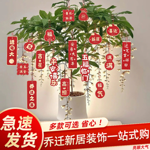 乔迁之喜新居布置装饰盆栽吊卡创意挂件搬家新居入宅仪式福字挂饰