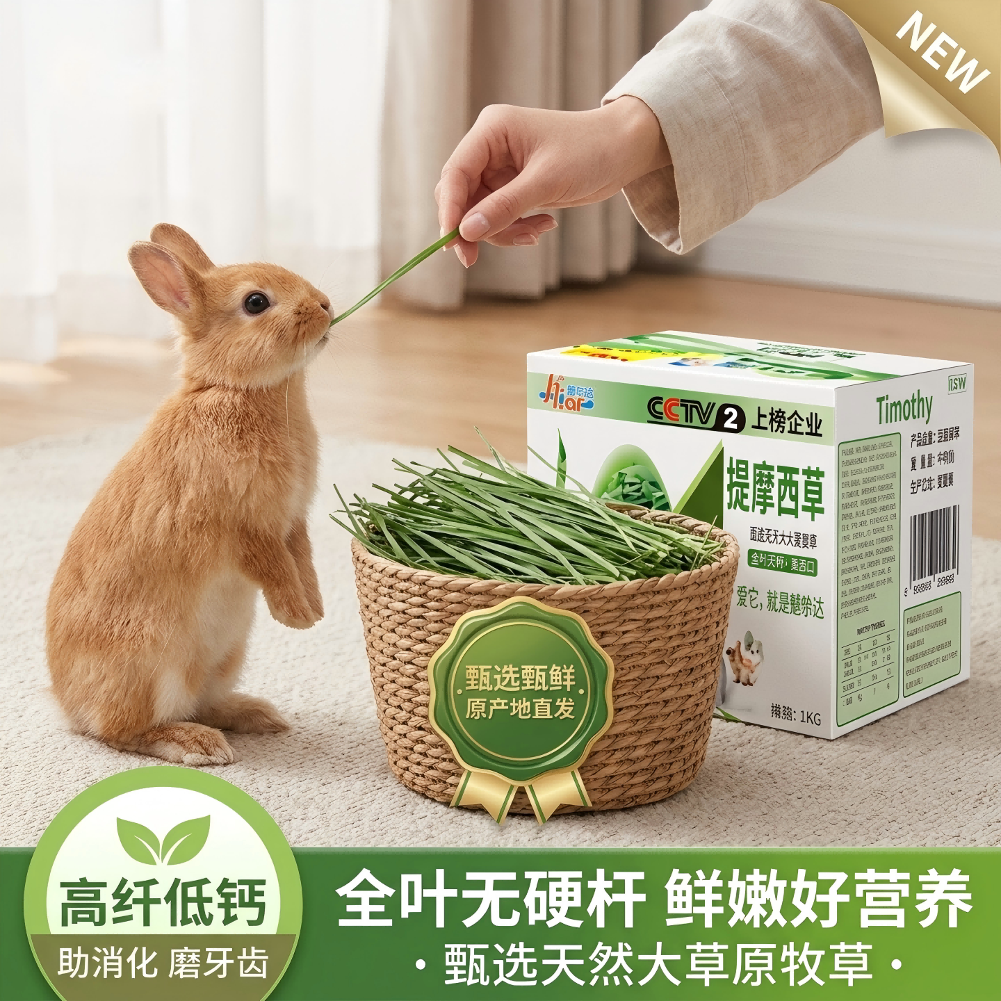 赫尔达兔子龙猫精品提摩西草南提图片