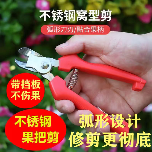 不锈钢窝型摘果剪橙子苹果专用剪