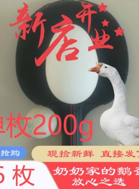 鹅蛋超大180-240g散养新鲜特大农家土鹅蛋正宗现捡现发6枚