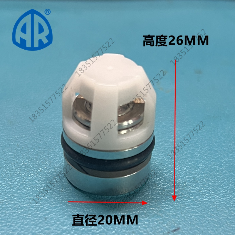 CODE43408AR意大利清洗机单向阀RGX22.50型 26557洗车机水泵阀门