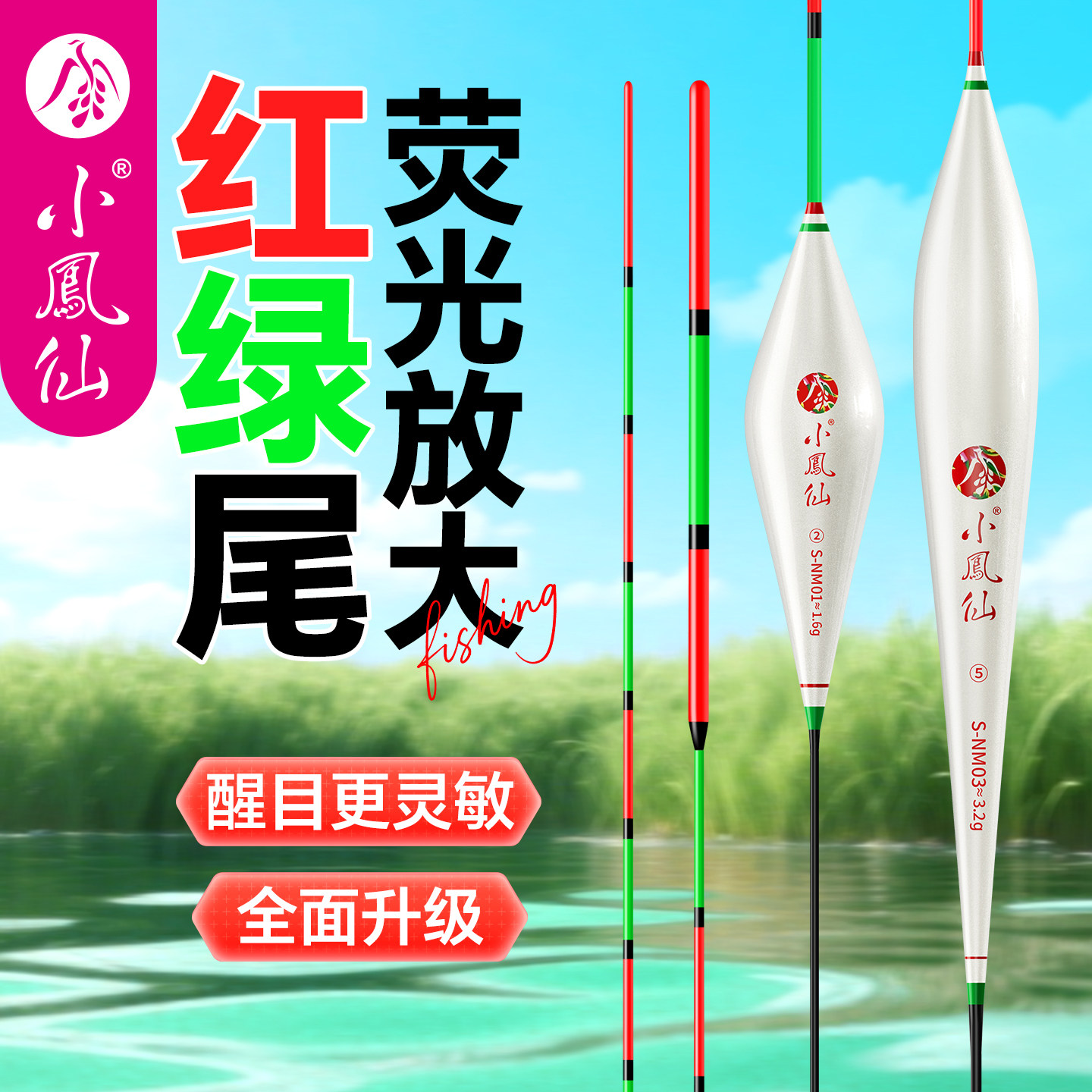 小凤仙红绿尾鱼漂高灵敏加粗