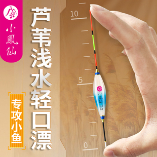 小凤仙浅水漂去壳芦苇短漂醒目高灵敏轻口鲫鲤鱼小短漂春钓溪流