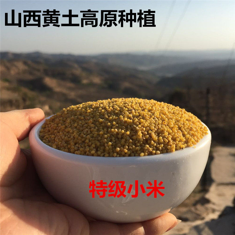 山西特产2025年新米农家黄小米天然无污染食品煮粥熬粥5斤
