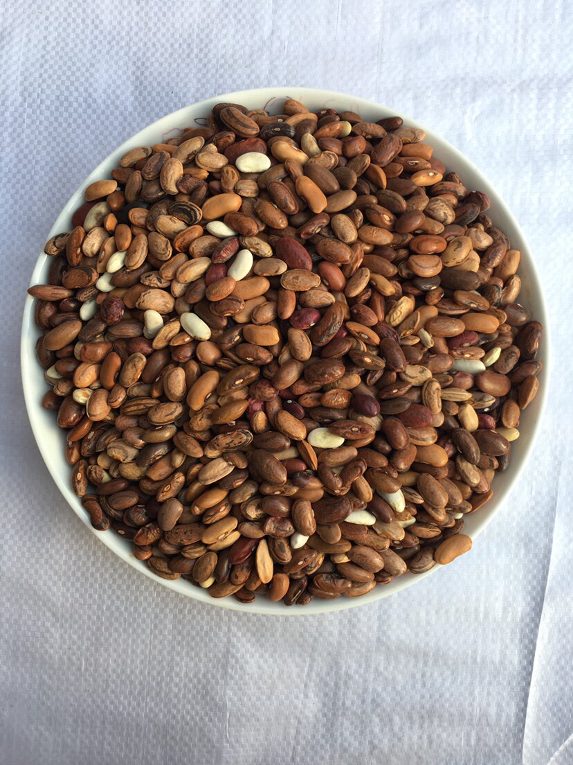 家红豆芸豆老品种500g图片