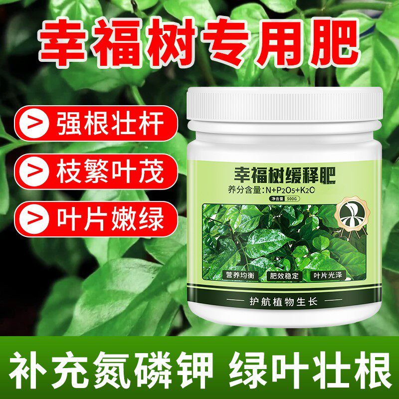 【幸福树专用】缓释肥幸福树肥料船长花园催花专用肥掉叶黄叶落叶