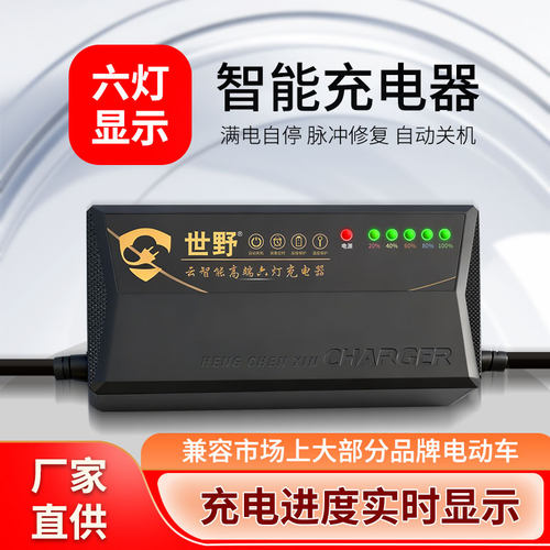 加长款智能铅酸通用电瓶充电器