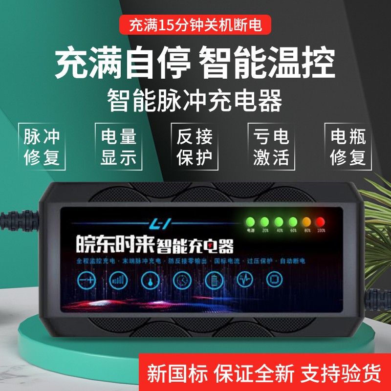 绿源两孔ET自动断电关机电动车电瓶充电器48V60V72伏20AH12AH专用