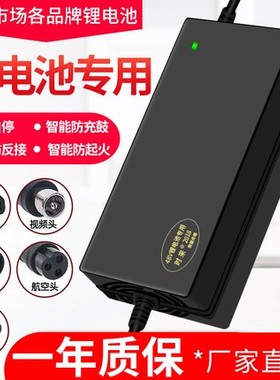 爱玛电动车锂电池2+6专用充电器48V2A卡农头小麦头60V视频头快充