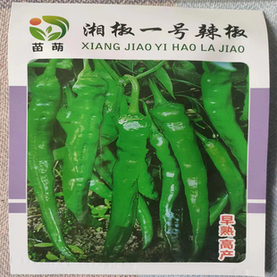 老品种土辣椒种子可留种高产早熟薄皮好吃的辣椒种青椒辣妹子种