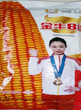 玉米种子粮油种子一年一熟