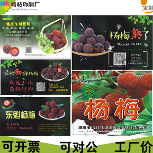 定制新鲜杨梅不干胶标签青梅梅子商标三华李黑布李贴纸设计印刷