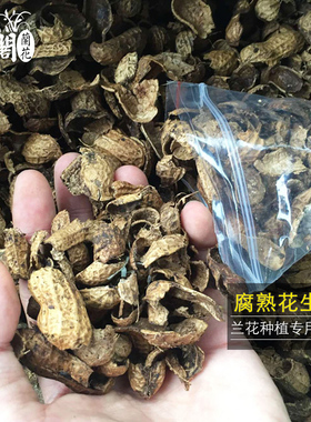 兰花苗专用植料 腐熟花生壳 疏松透气发酵花生壳 新手需备