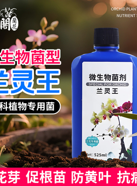 兰灵王兰花专用肥营养液肥料促花多箭兰菌药蝴蝶兰科兰陵王活化剂